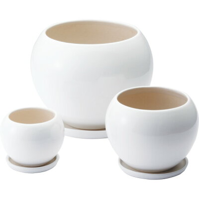 【楽天市場】大和工業 陶器植木鉢 受皿付 白 UH05 3DWH | 価格比較 - 商品価格ナビ